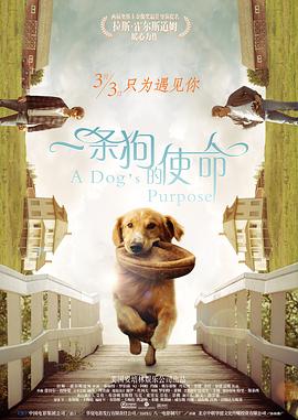 91在线下载